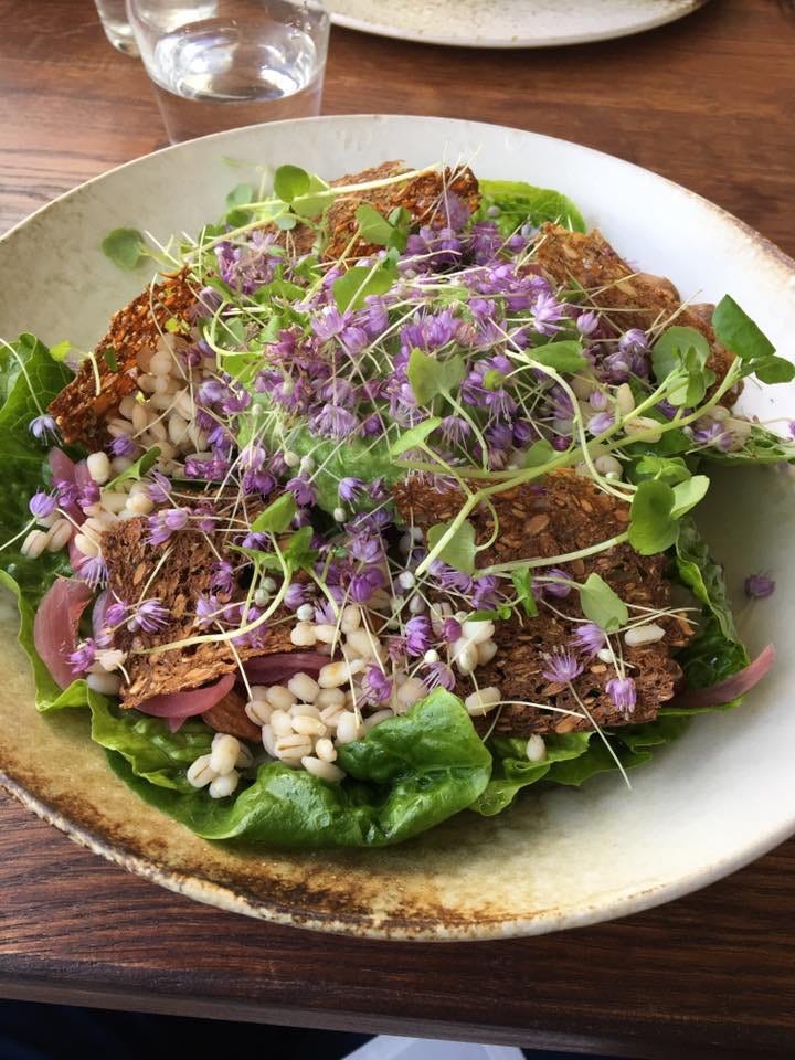 A Perfect Vegan Week in Denmark. A variety of delicious vegan