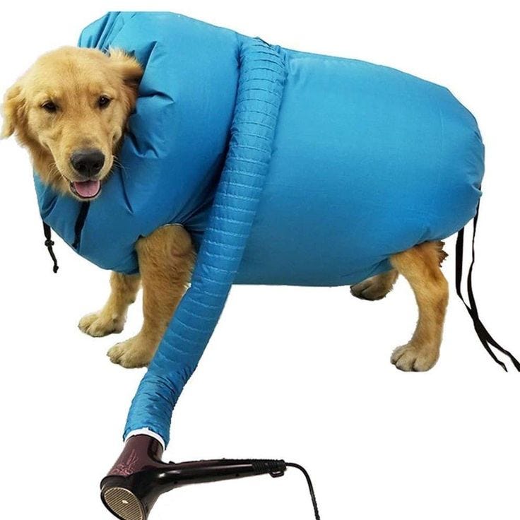 Unveiling the Secrets of the Painless Dog Dryer Coat A Comprehensive