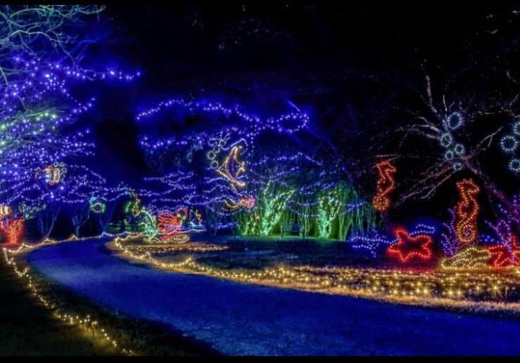 16 Great Christmas Light Displays Near Military Installations by