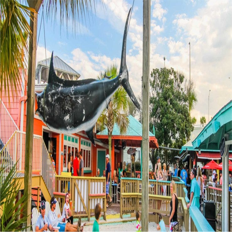 Houses For Sale St Augustine Fl. Discovering houses available to be