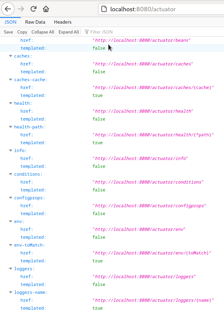 customendpointsinspringactuator Medium