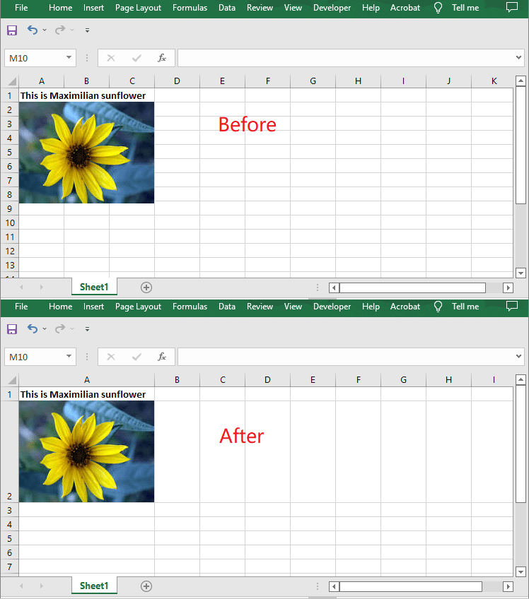 C VB NET Change Or AutoFit Column Widths And Row Heights In Excel