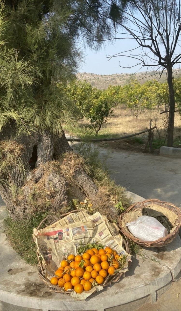 what does peeling an orange mean? by Ani Medium