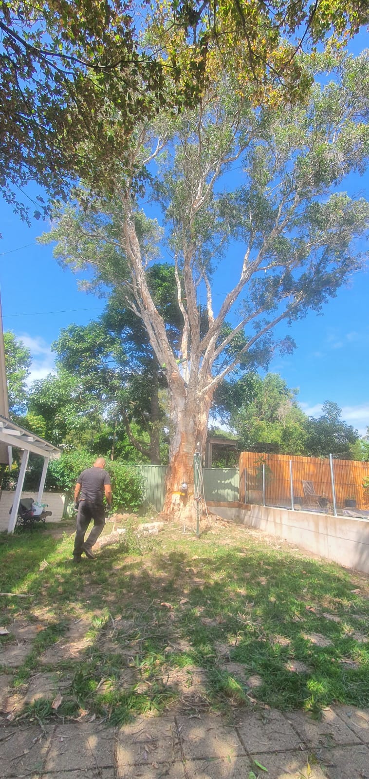 Is Soft Landscaping Campsie A Safe Option? by Alex Tree and Garden