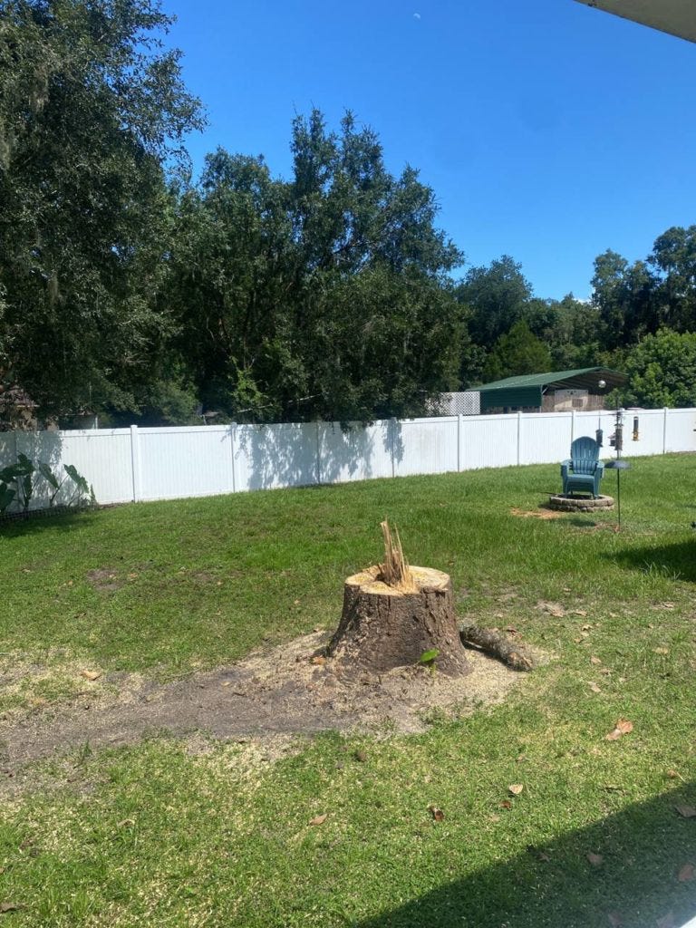 The Importance of Tree Services. Ocala, Florida, known for its stunning… by Jamesryany Oct