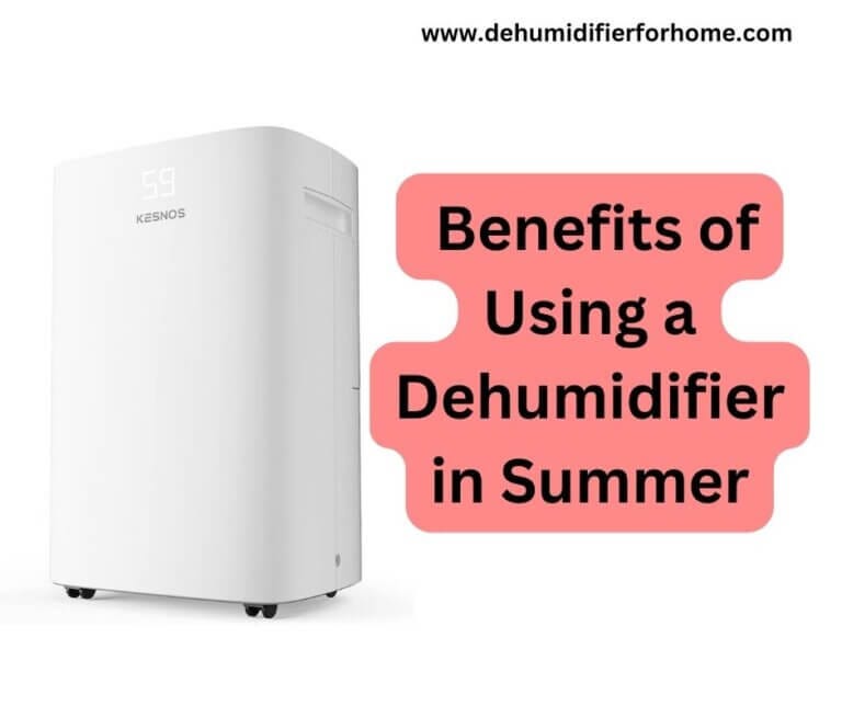 The Benefits of Using a Dehumidifier in Summer dehumidifier for home