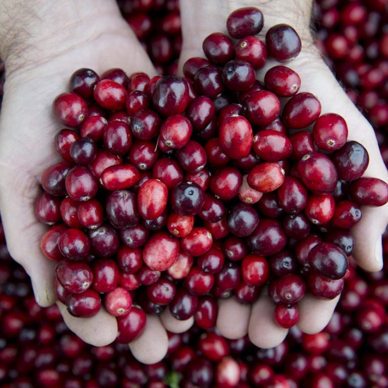 CRANBERRY JUICE FINALLY A RELIEF IN MY PREGNANCY !!! by Dr.Zeba