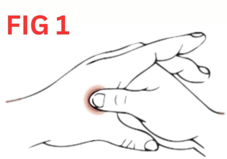 Acupuncture Points for Anxiety and Insomnia Neha Gupta Medium