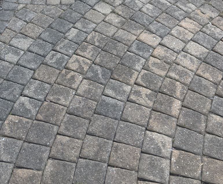 How to Remove Black Mold on Brick Pavers? by Jindal Mechno Bricks