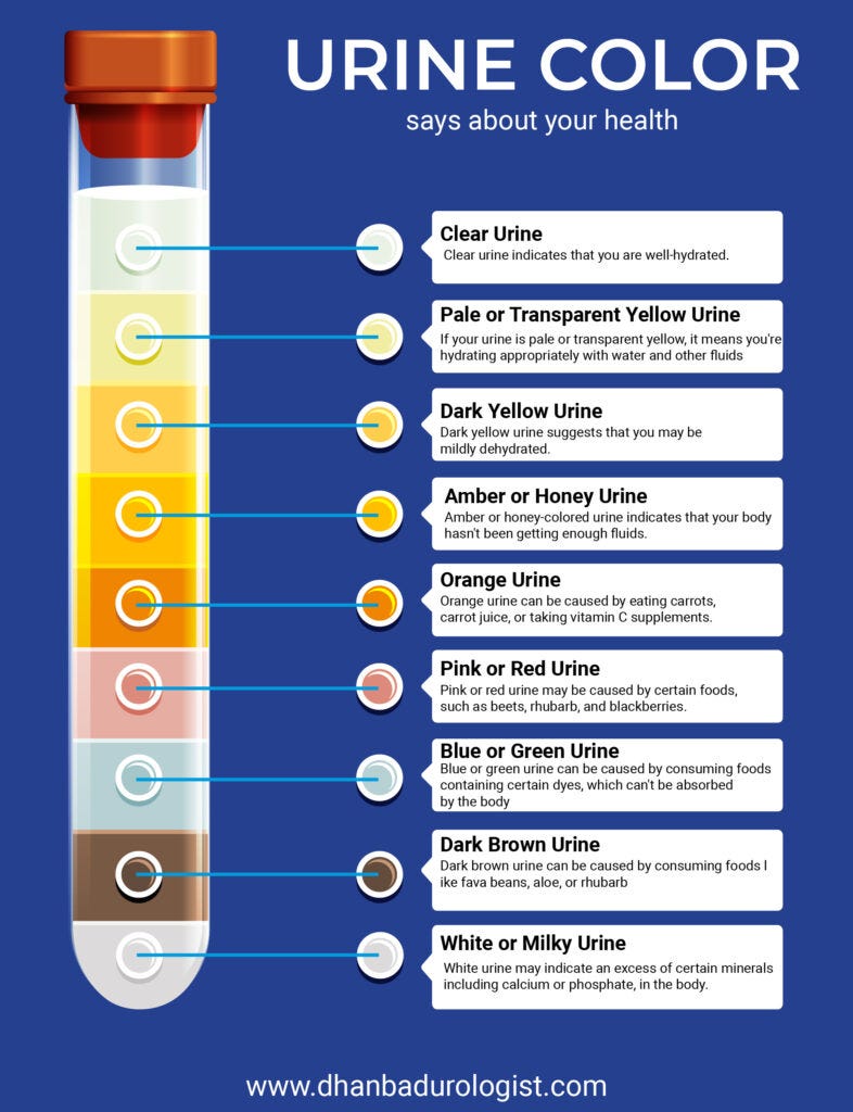 Urine What Color And Smell Say About Your Health by