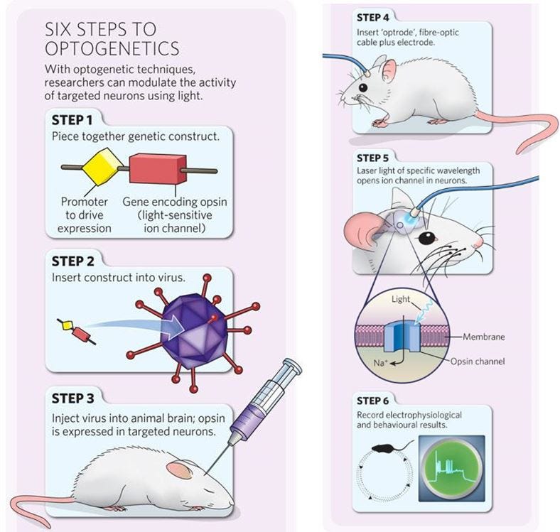 The Pros and Cons of by Andrew Zhang Medium