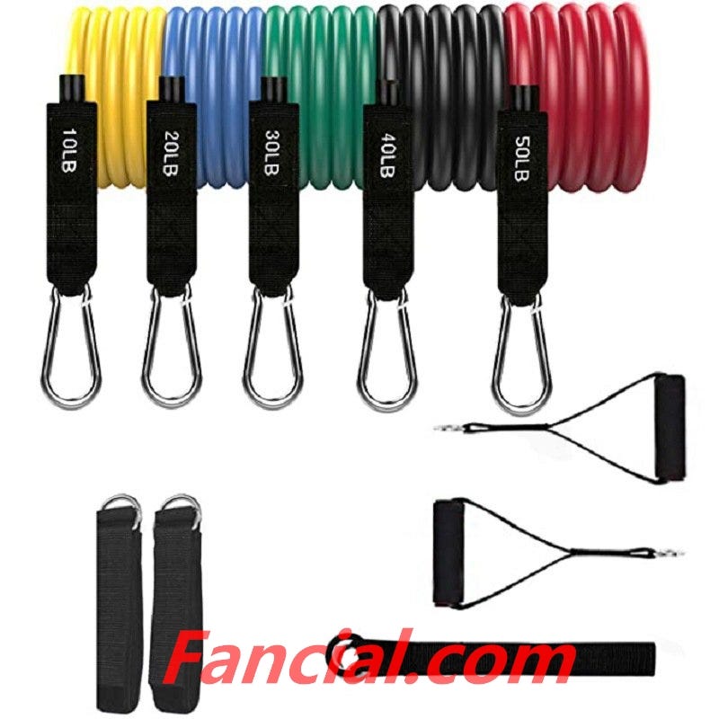 Does the Ab Wheel Really Work? Fancial Medium