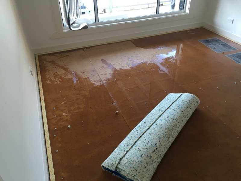 Water Damage and How They Affect Your Carpets by flood restoration