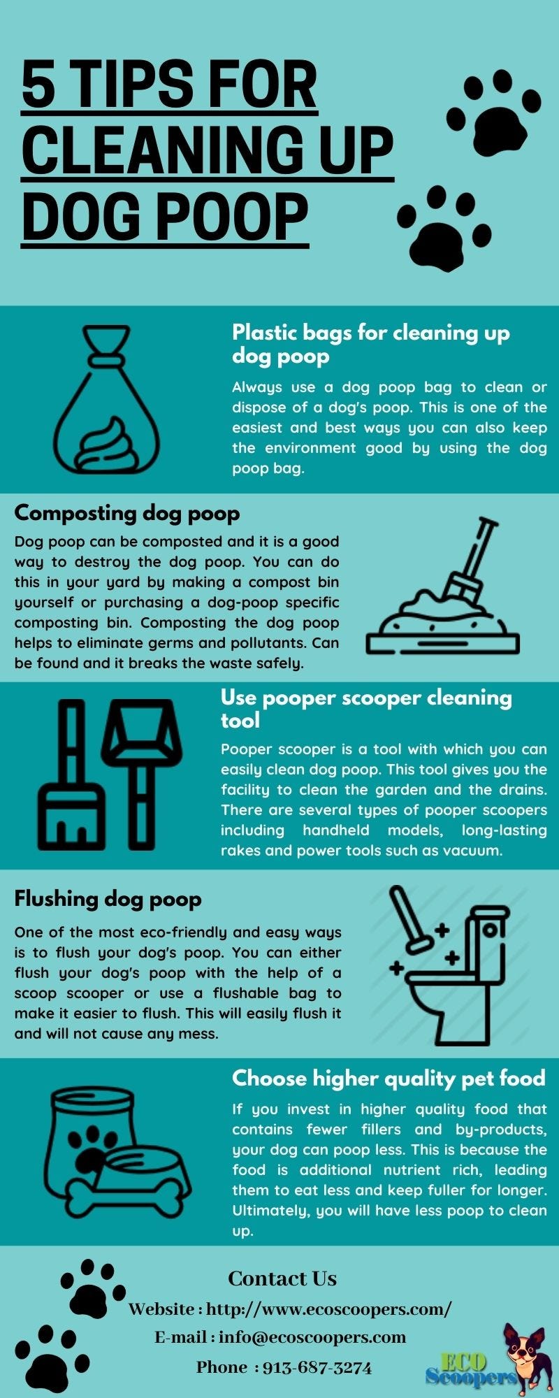 Effective Tips To Cleaning Up Dog Poop Shawn Halligan Medium