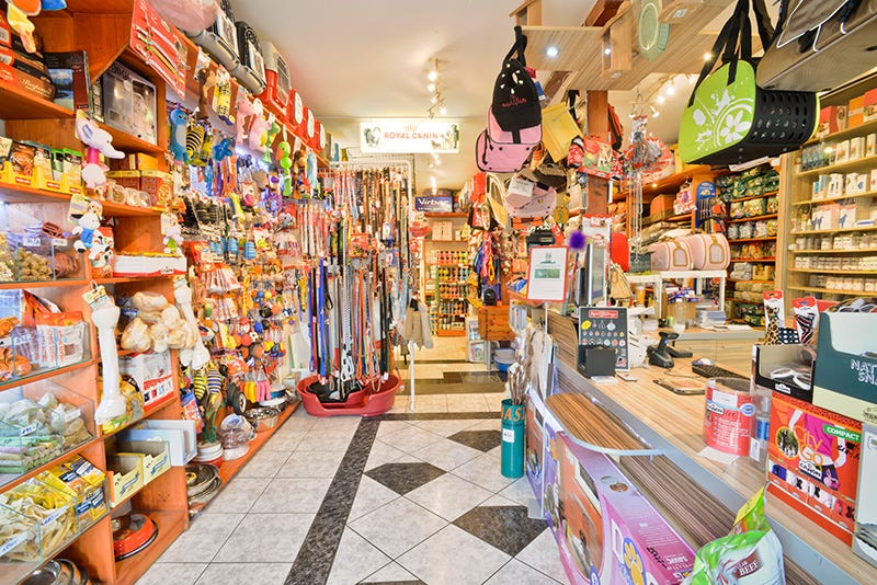 Pet Shops in karachi Zammanqurban Medium