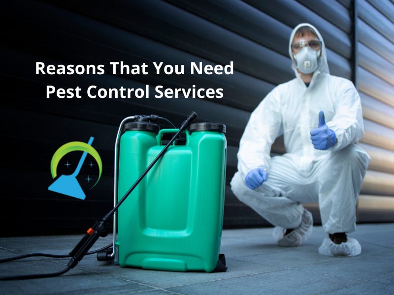 Benefits Of Hiring Professional Pest Control Services In Ipswich QLD by Carpetand Pests Medium