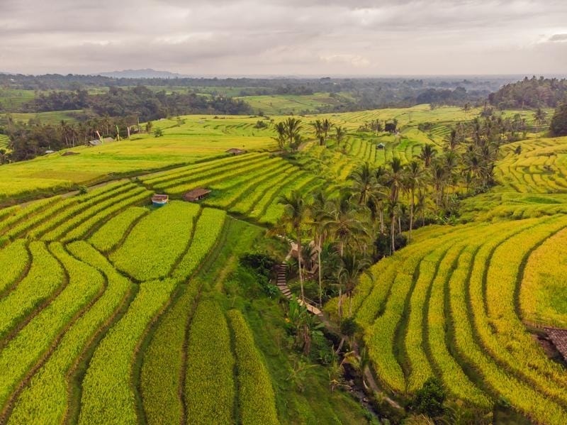A Foreigner’s Guide to Buying Land in Indonesia by Zoovklave Medium