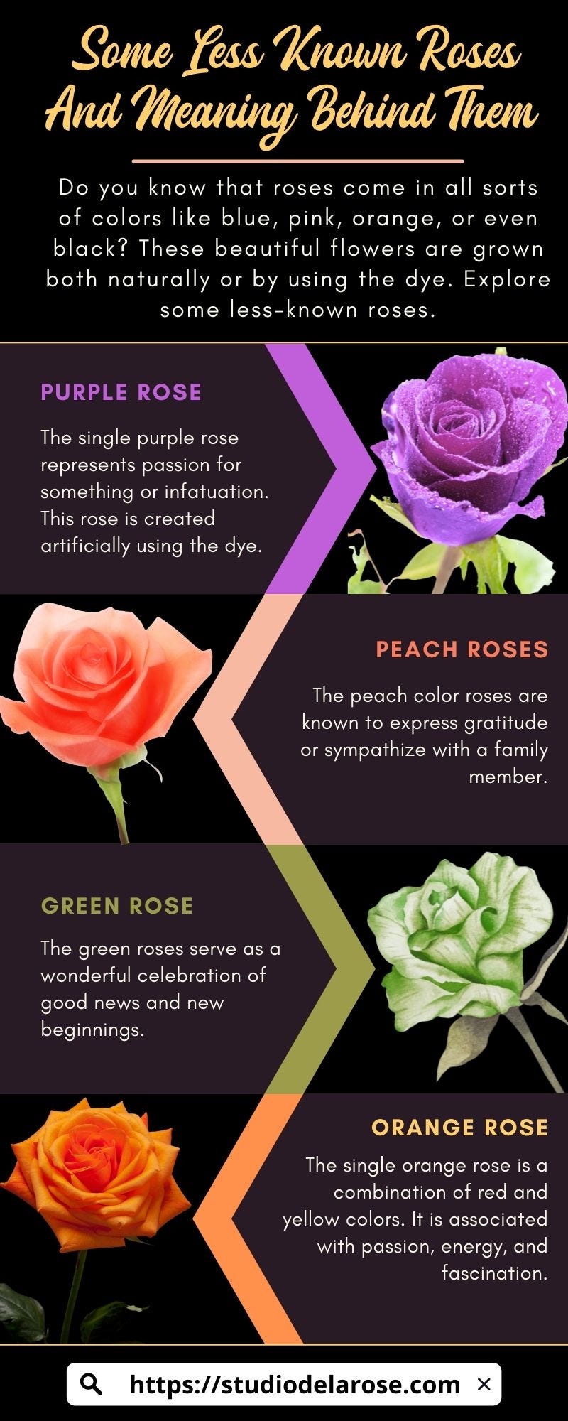 Some Less Known Roses And Meaning Behind Them Studio De La Rose Medium