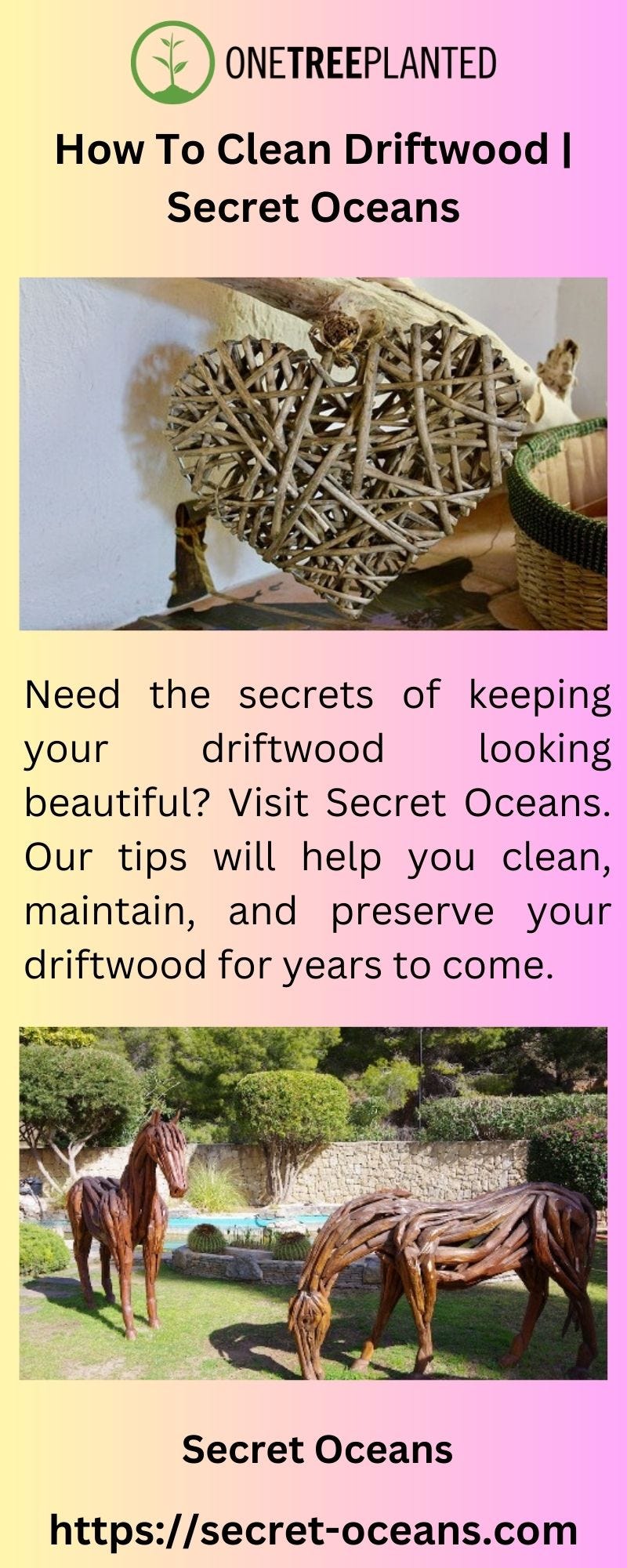 How To Clean Driftwood Secret Oceans Secretoceans Medium