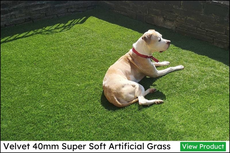 How Do You Stop Artificial Grass Going Flat? by Edwin Knight Jun