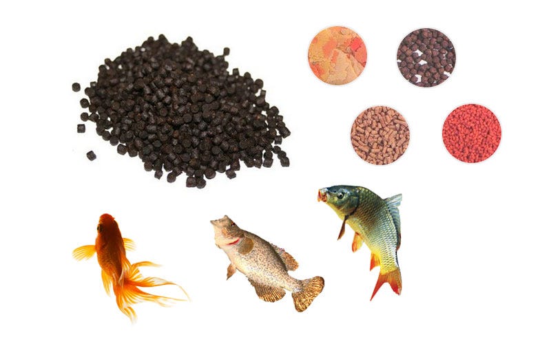 How to Feed Cichlids Properly. In order to make the aquarium breeding