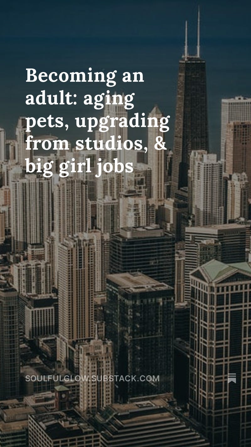 an adult aging pets, upgrading from studios, & big girl jobs