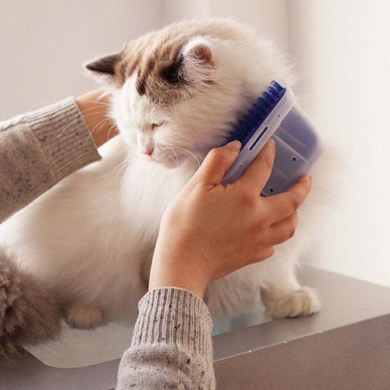 How To Stop A Cat From Shedding ICanMeow Medium