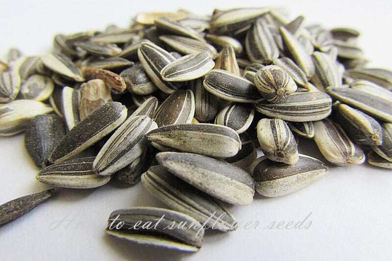 How to Eat Sunflower Seeds. Introduction by Abu Taiub Medium