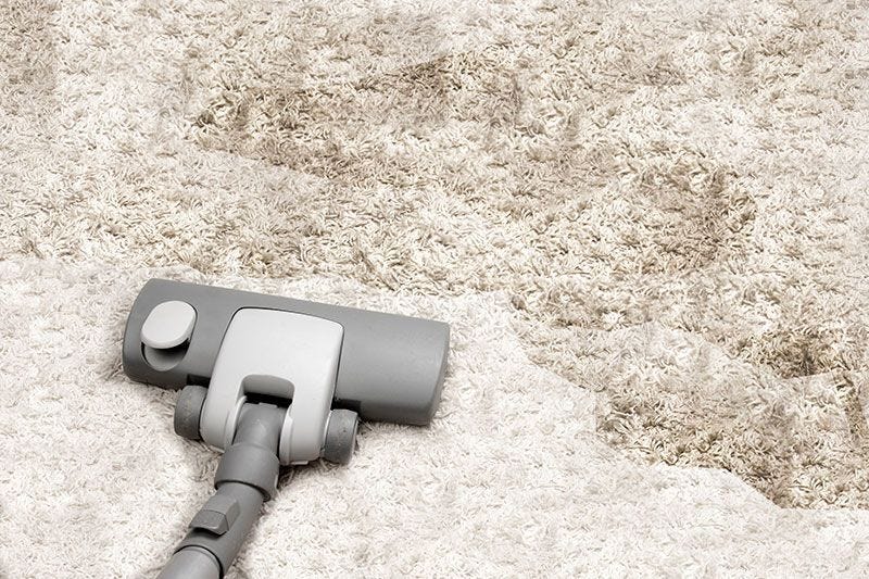 How To Remove Old Pet Stains From Carpet And Rugs by Angus Darvall Medium