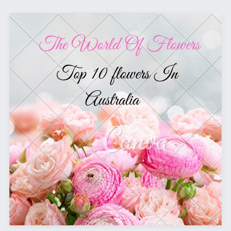 Top Ten Fresh flowers In Australia by santosh adhikari Medium