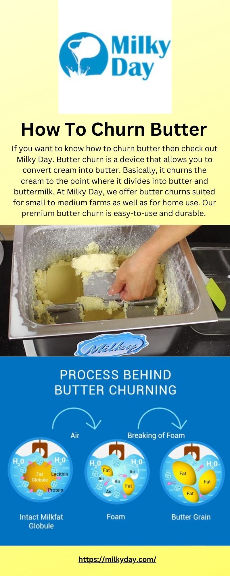 Buy Affordable Butter Churner Online — Milky Day Milky Day Medium