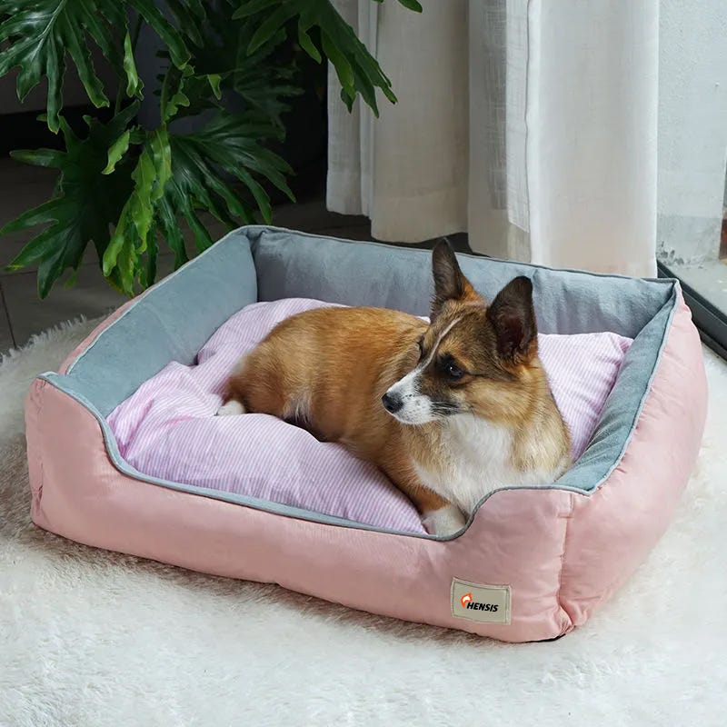 How to Clean a Dog Bed. As a pet owner, I understand the… by Hensis