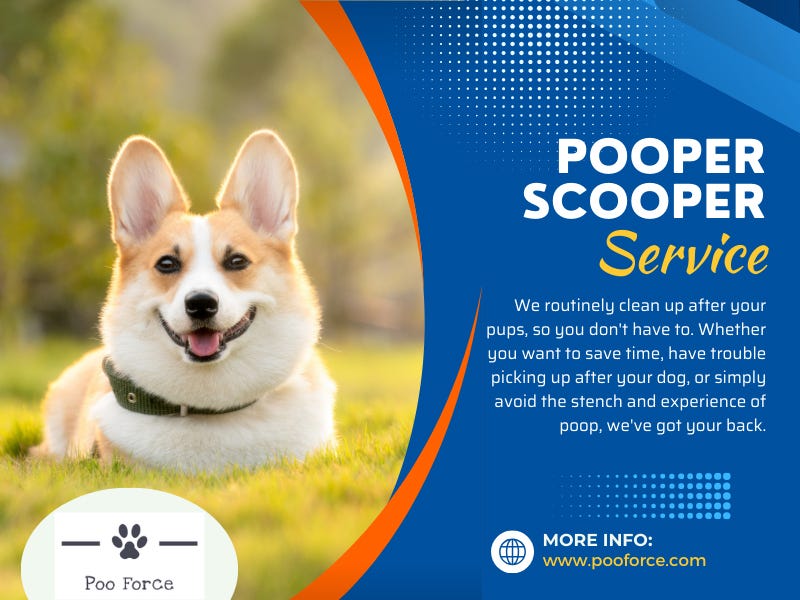 Pooper Scooper Service. Choosing the Perfect Pooper Scooper… by Poo