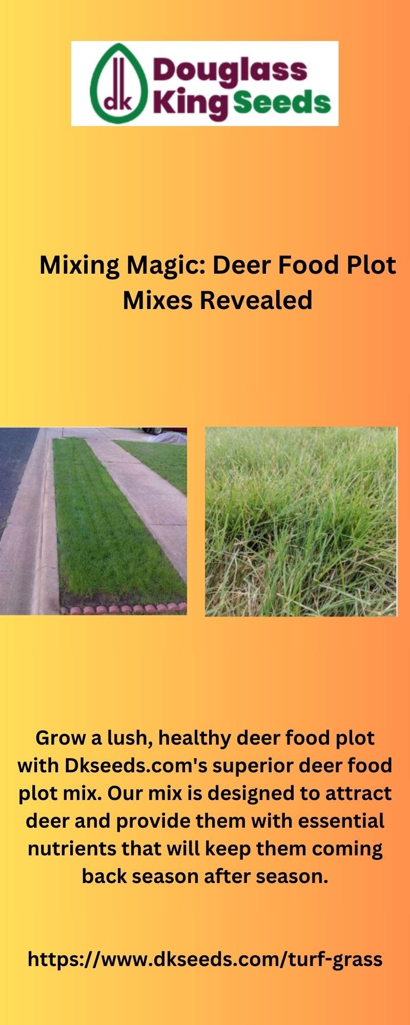 Mixing Magic Deer Food Plot Mixes Revealed Douglass King Seeds Medium