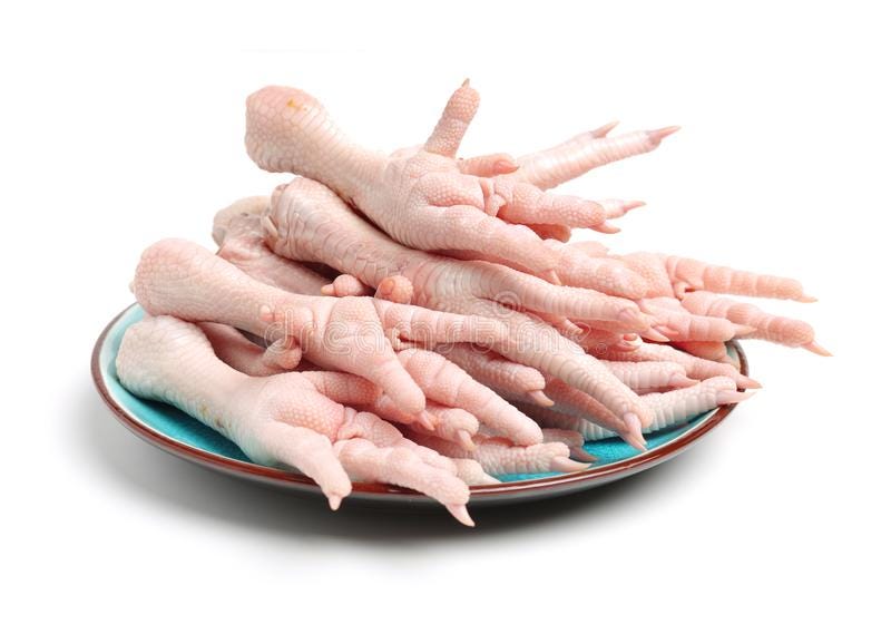 Can Cat eat chicken feet?. Chicken feet good or bad for your cat… by