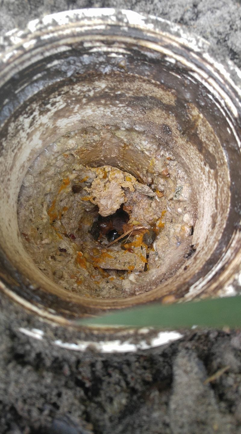 Why Your Sewer Keeps Backing up. Top 4 Reasons why Your sewer keeps… by Eric York Medium