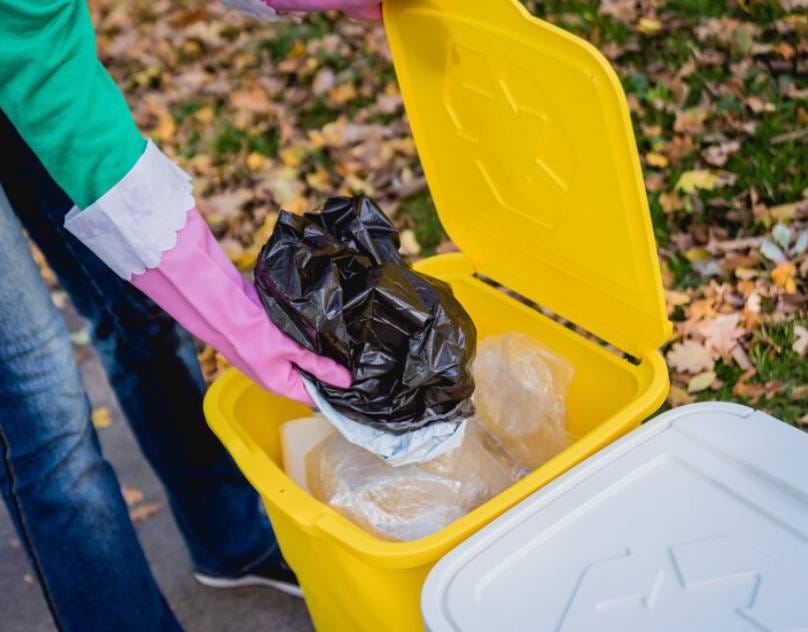 The Dangers of Not Picking Up Pet Waste Pawpail Medium