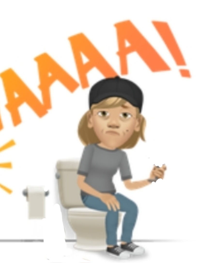 The Public Toilet. Do you hover or sit on the pan. by Jan Cooperwoman