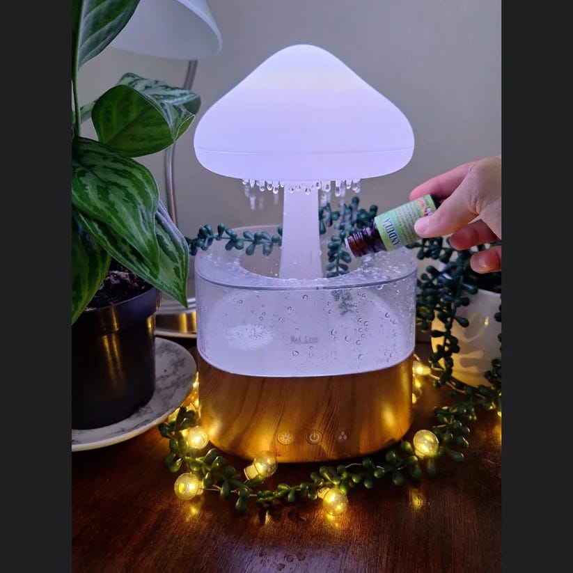 8 Reasons Why Everyone Should Use a Humidifier by Truth Be Told (TBT