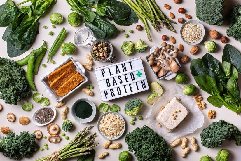 The Best Sources of PlantBased Protein Vegetable Guide} by