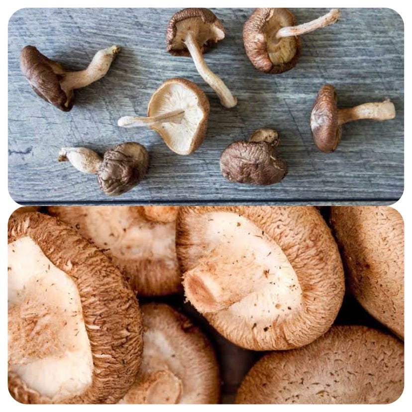Can You Eat Dried Shiitake Mushrooms Raw? by Felix prince Jul, 2023
