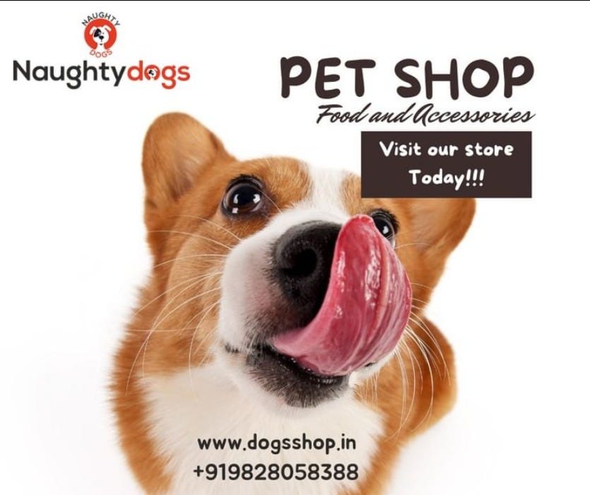 best pet shop in jaipur. For pet enthusiasts in Jaipur, finding… by