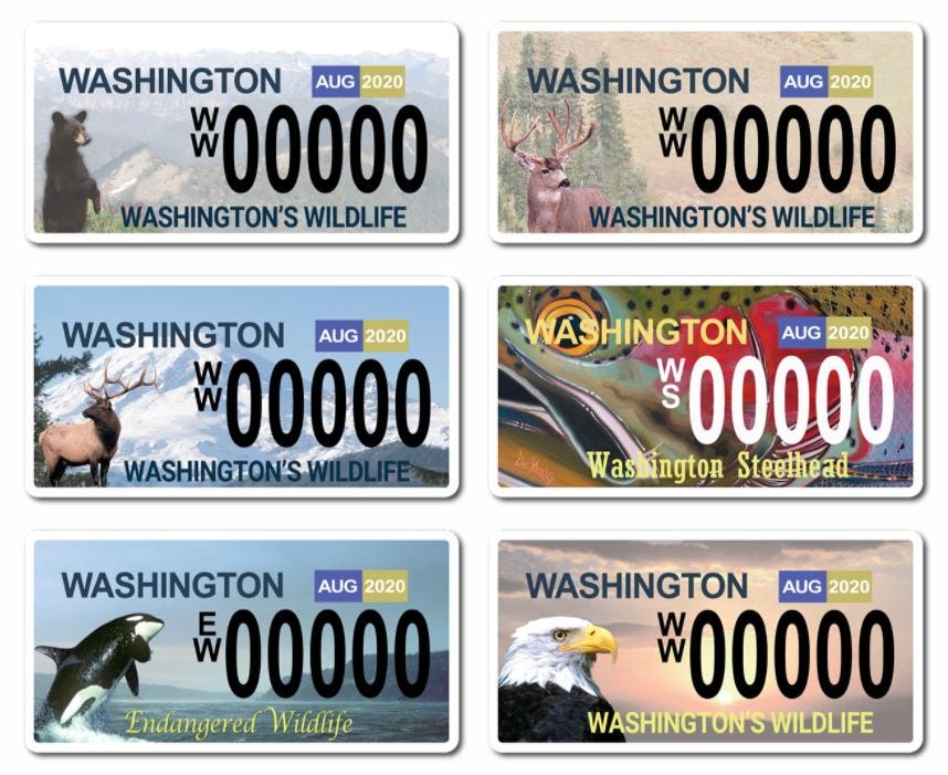 How Much are License Plates in Washington State