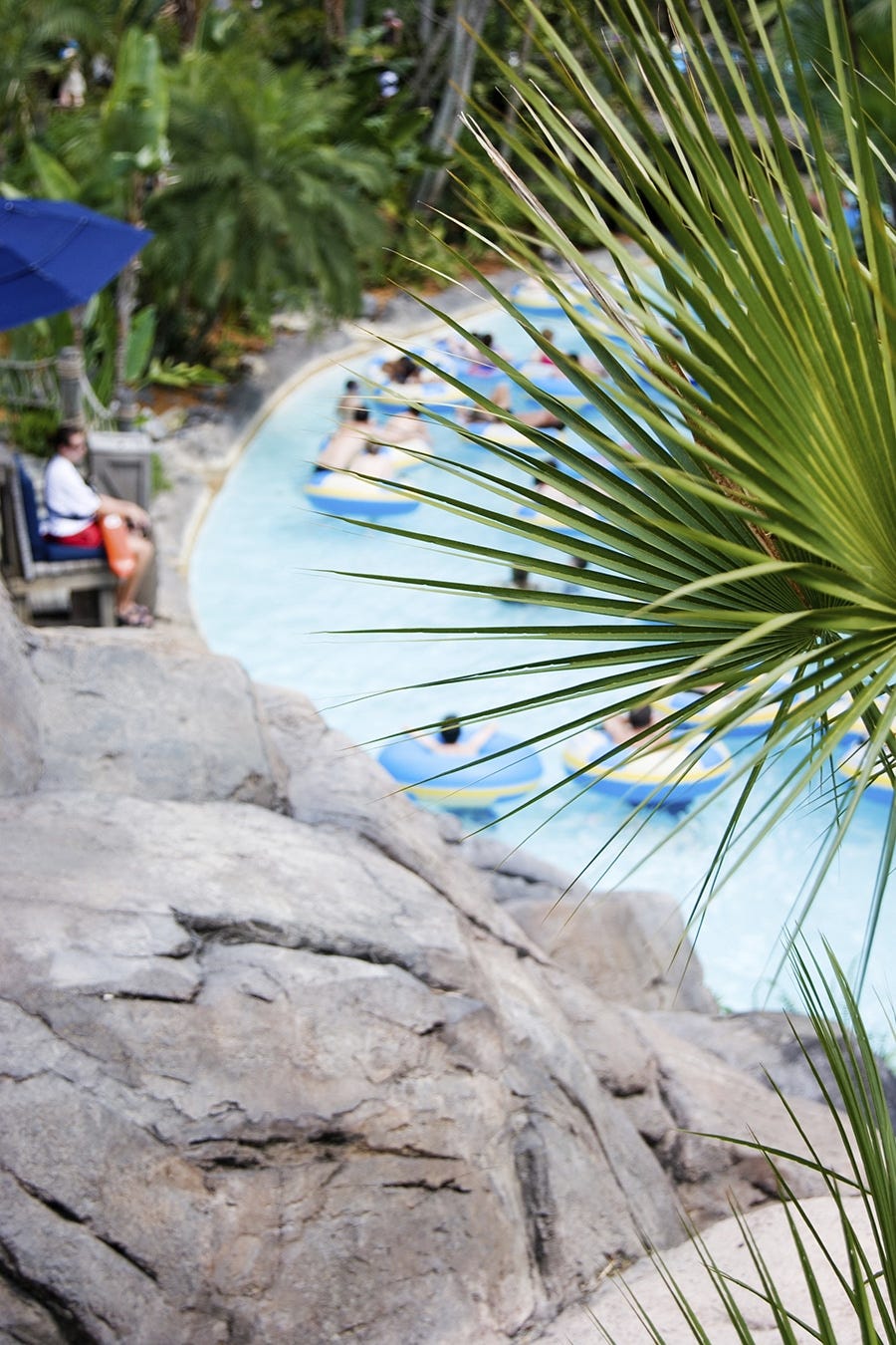 The Most Efficient Swim Atlanta Pool Management in USA by