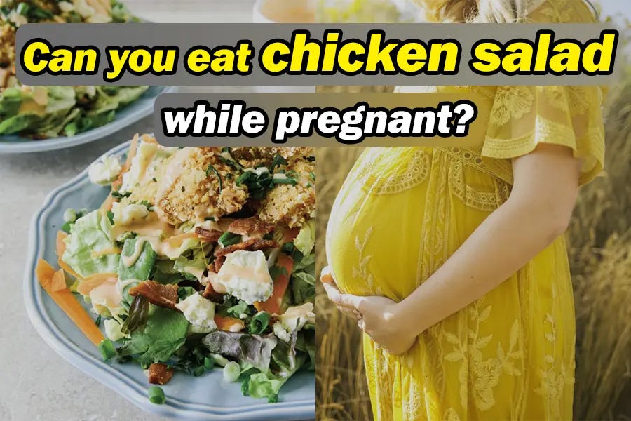 EATING CHICKEN SALAD DURING PREGNANCY IS IT SAFE? by Hipregnancy
