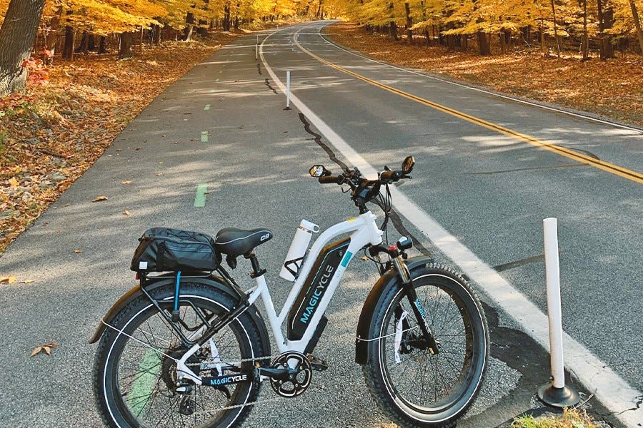 Buyer’s Guide to the Best StepThru Ebikes for Size Concious Riders