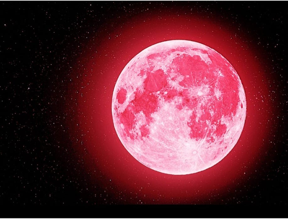 Strawberry Moon,2022 Ritual! Komalshahbaz Medium
