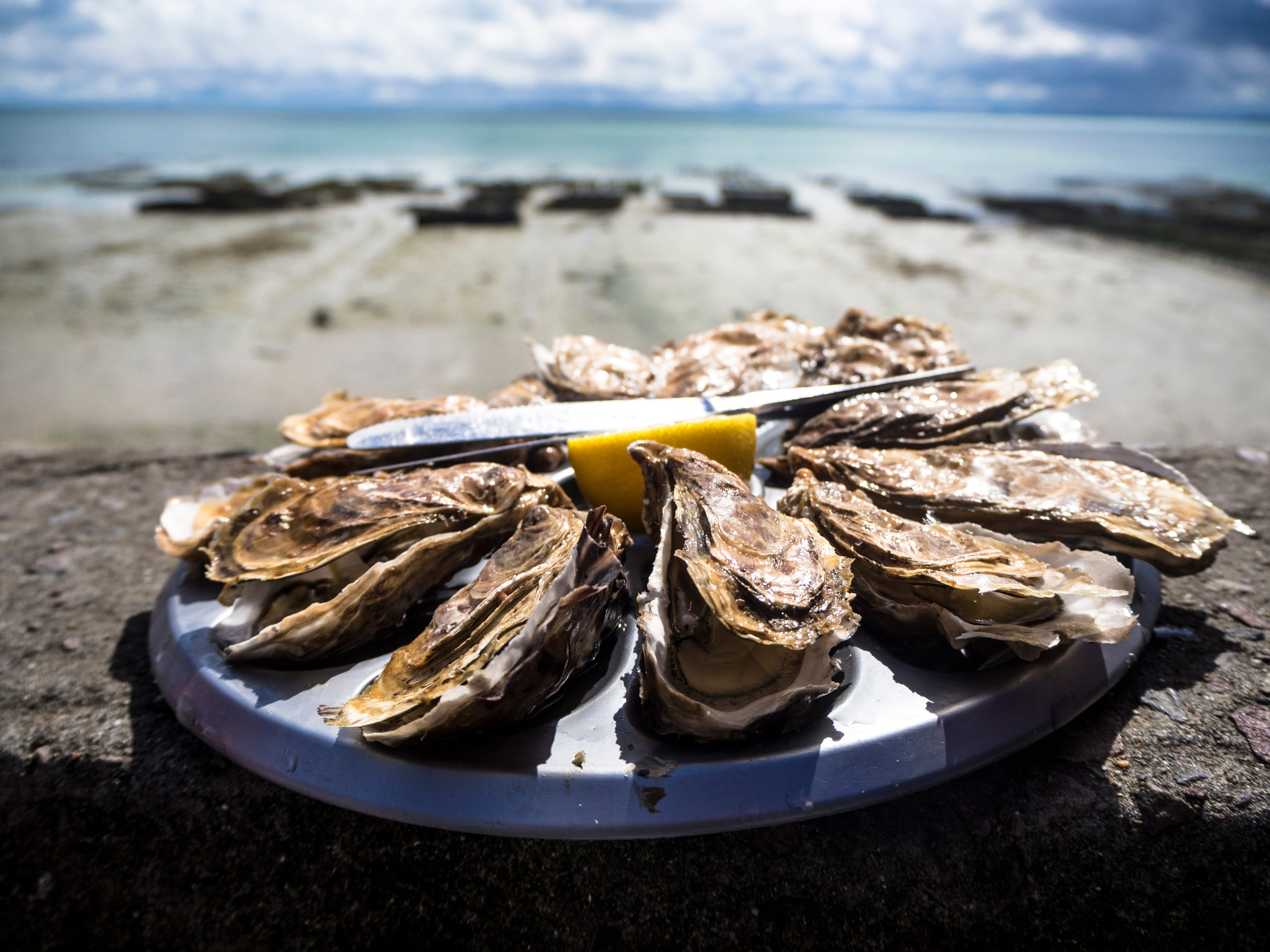 Alive Oysters With Pearls