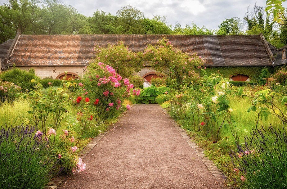 The scented garden…How to add intriguing scent to your garden