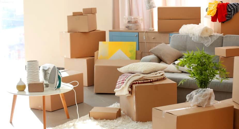 How to Move Your Belongings to a New Country? Furniture, Pets, and More